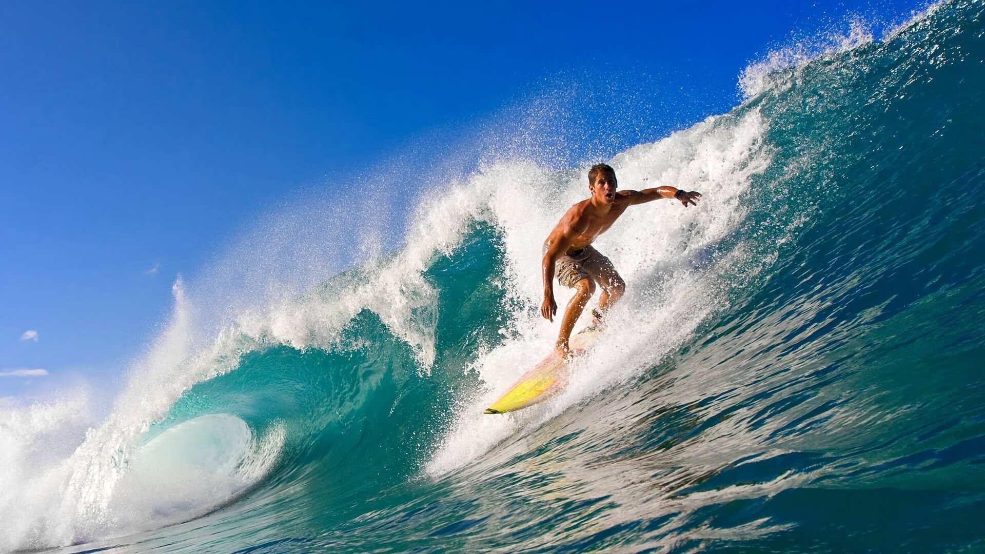 中国冬奥会团队在多项冰雪项目中夺冠,创新纪录,冬奥会 冰雪项目