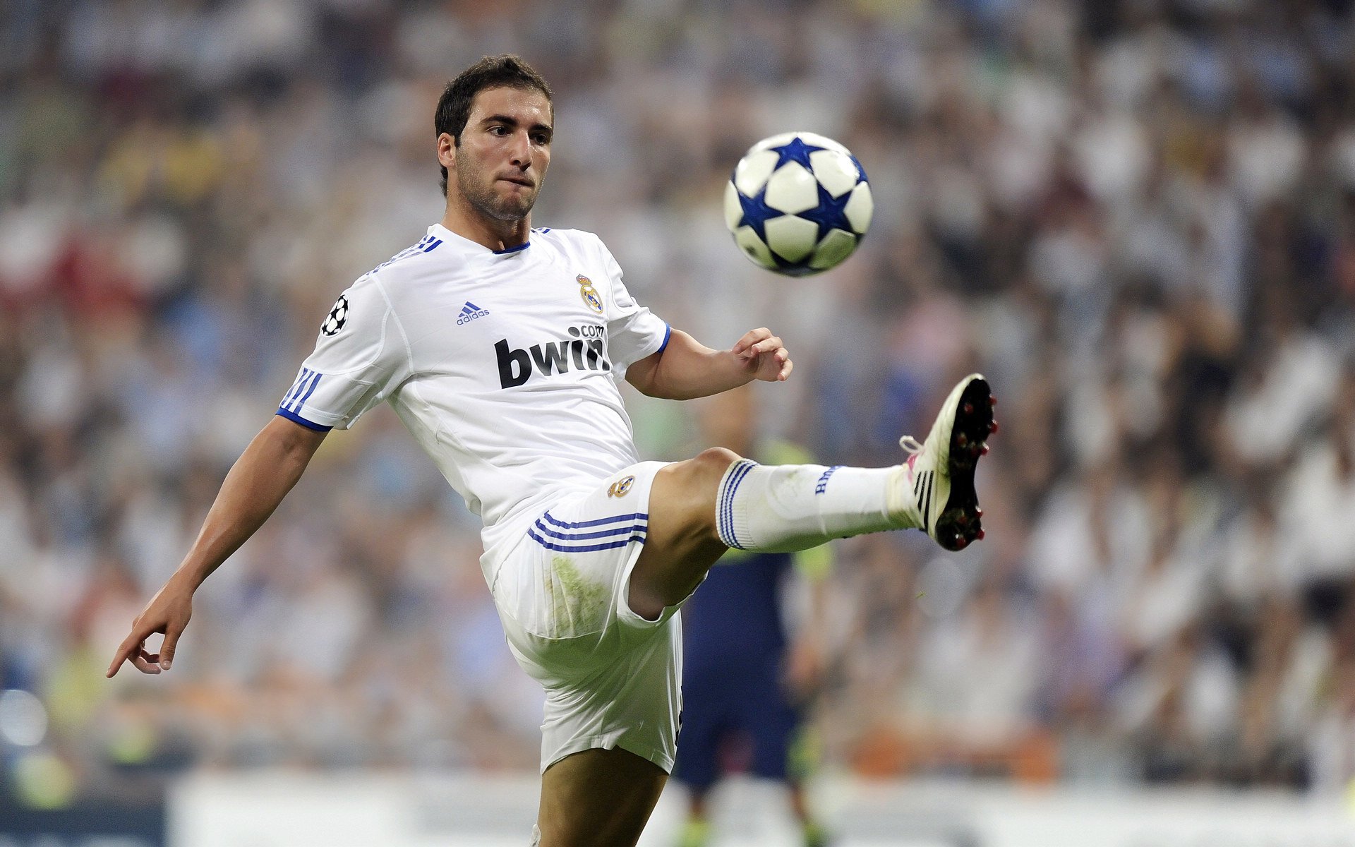 2026年世界杯比赛将采用全景直播技术，球迷身临其境，2026年世界杯球场巡礼